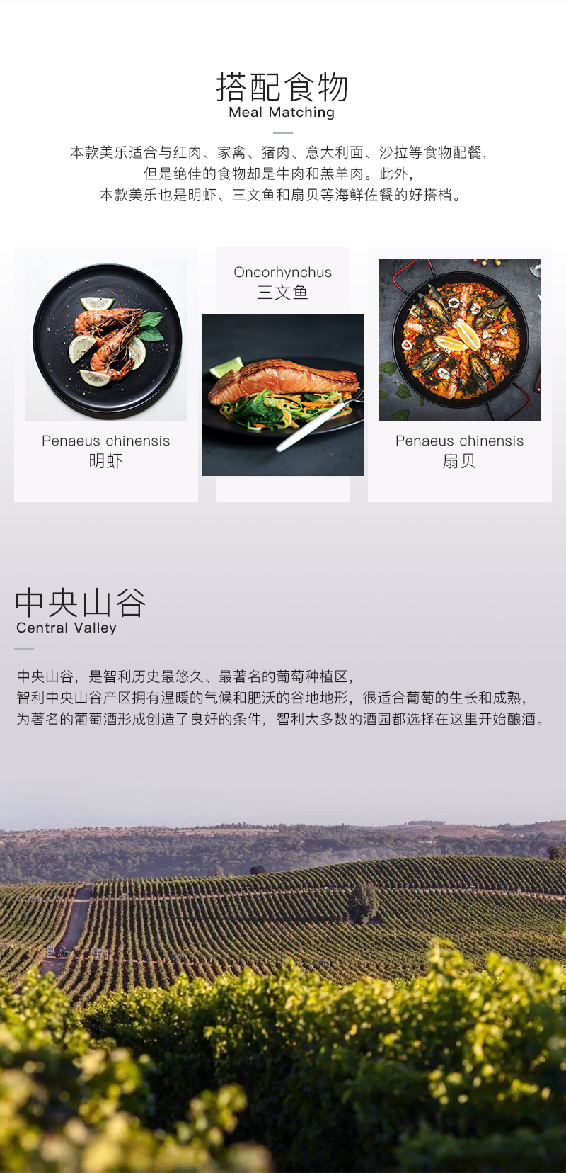 深夜视频在线免费655智利珍藏美樂幹紅葡萄酒(圖3)