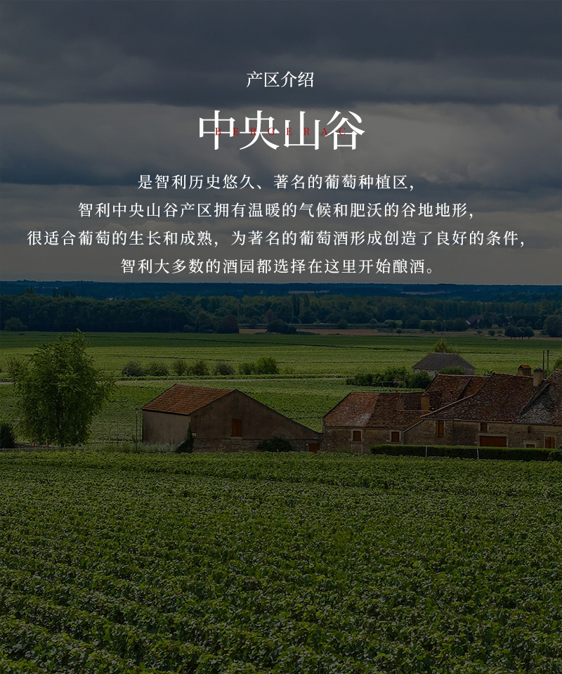 深夜视频在线免费紅酒33L大瓶蠟封1.5升智利幹紅葡萄酒(圖4)