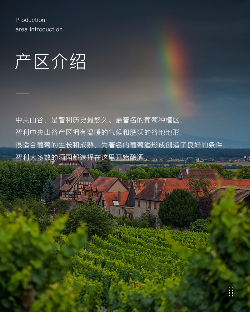 深夜视频在线免费紅酒429智利進口美露幹紅葡萄酒(圖3)