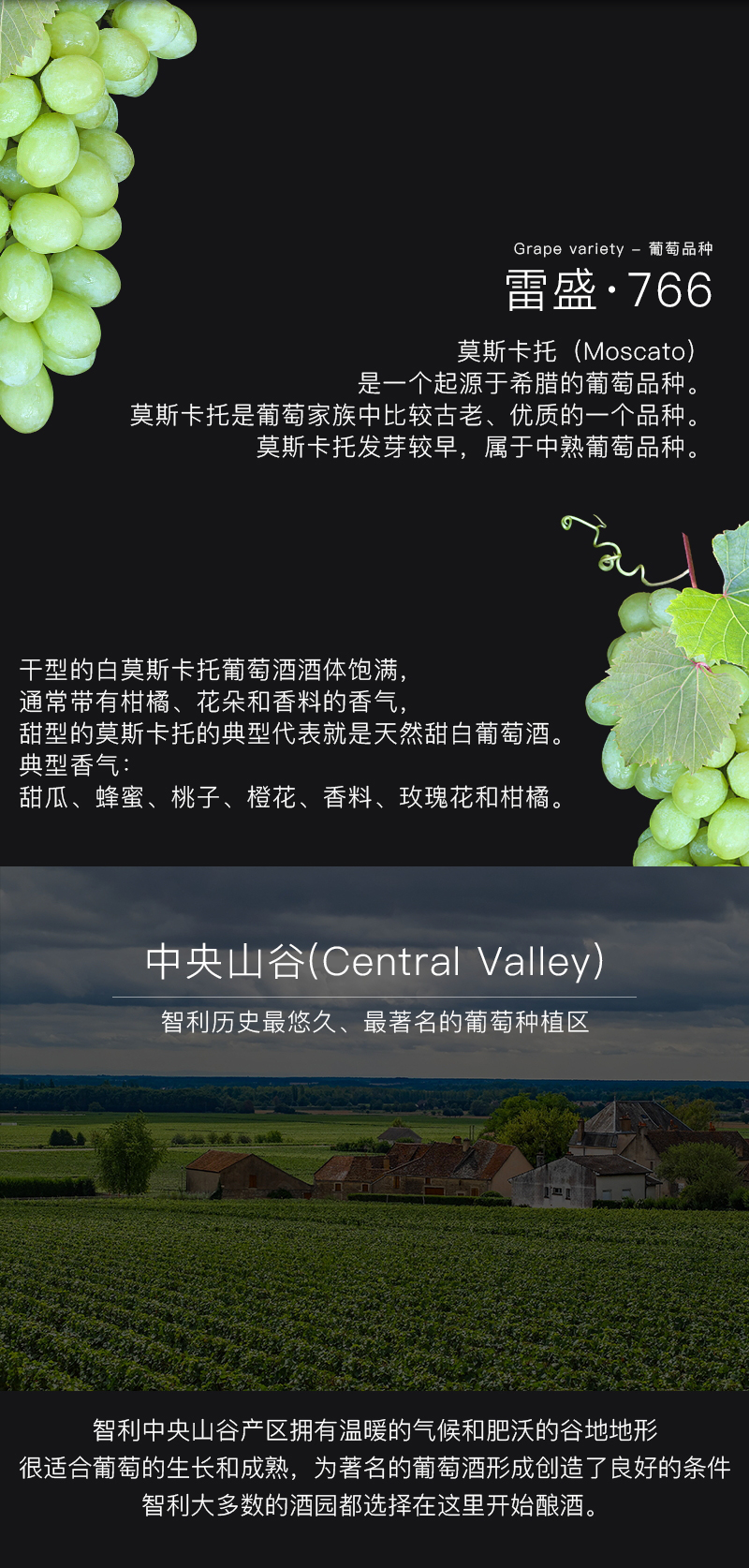 深夜视频在线免费紅酒766智利莫斯卡托甜白葡萄酒(圖4)