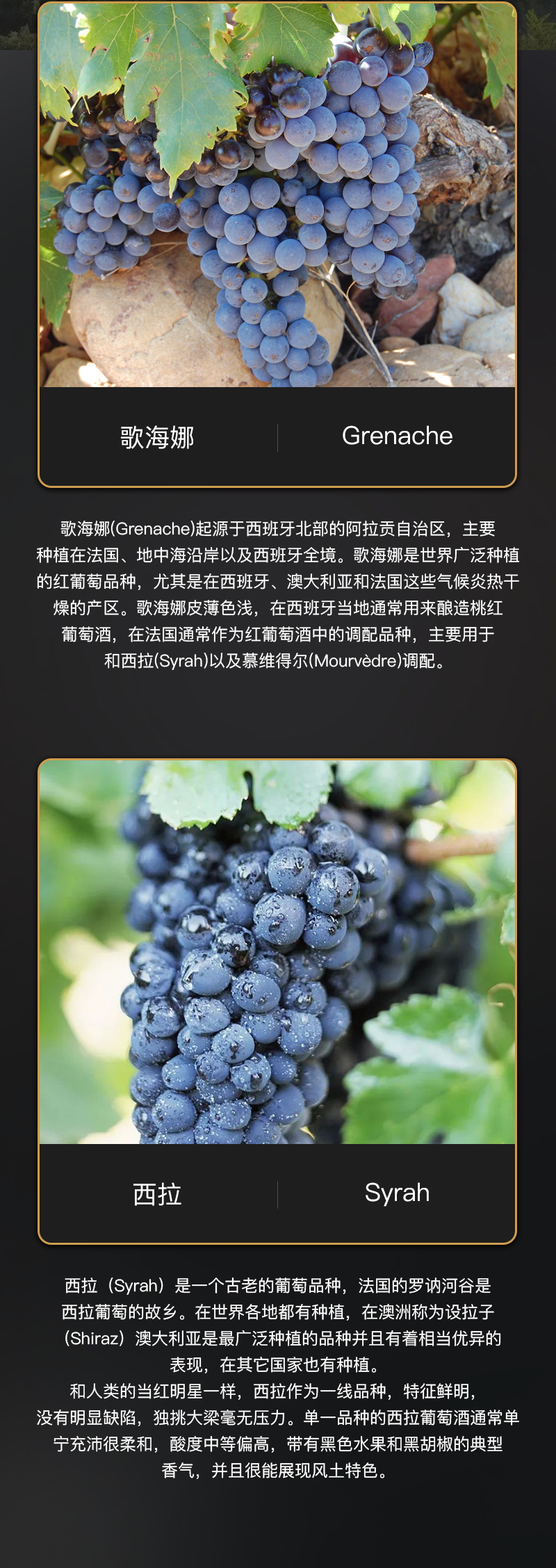 深夜视频在线免费紅酒818法國豪華AOC幹紅葡萄酒(圖4)